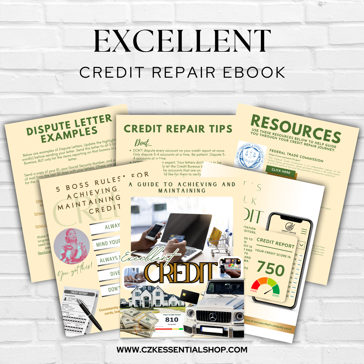 Excellent Credit Repair Guide